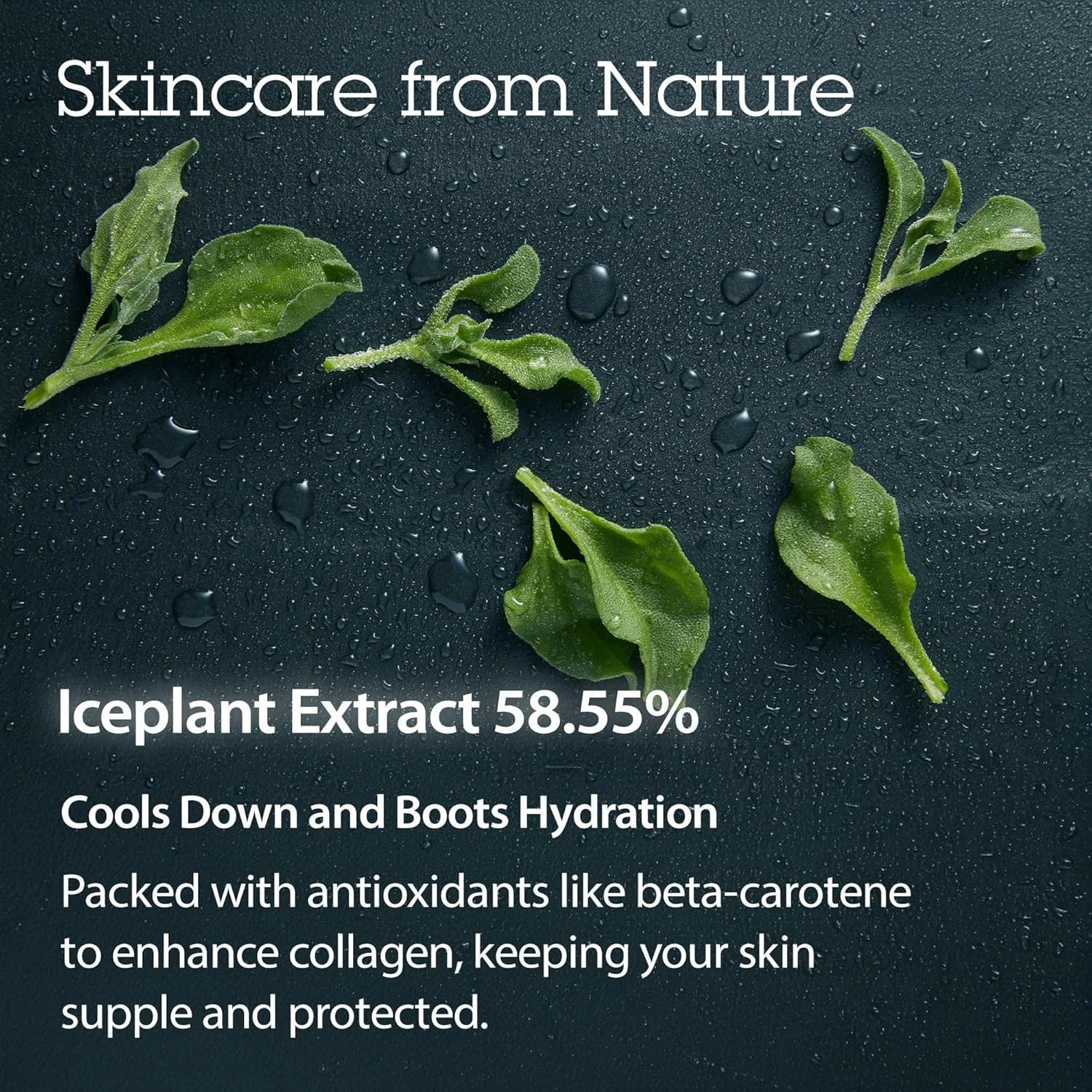 BLITHE Pressed Serum Crystal Iceplant 0.91 fl oz
