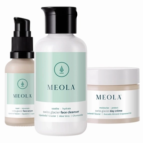 Day Combo for Healthy Skin for Men & Women (Face Cleanser   Serum   Day Cream) with Vitamin B3, Cleanser & Day Cream