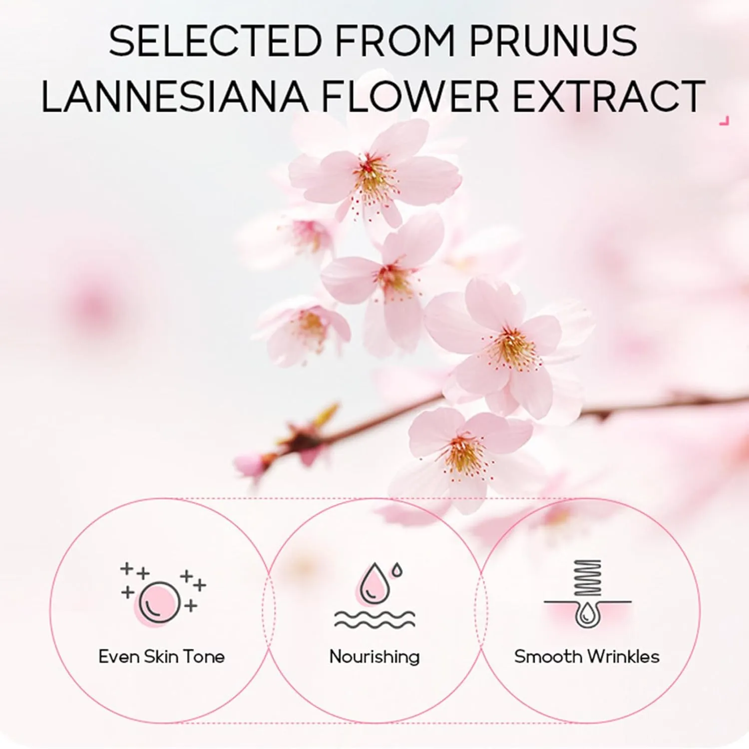 Japan Sakura Skin Care Set For Teen Girls, Skincare For Girls 10-12, Skin Care For Teens 10-12, Japanese Cherry Blossom Girls Skin Care For Kids Age 8-12, Kids Skin Care Set For Girls Ages 8-12