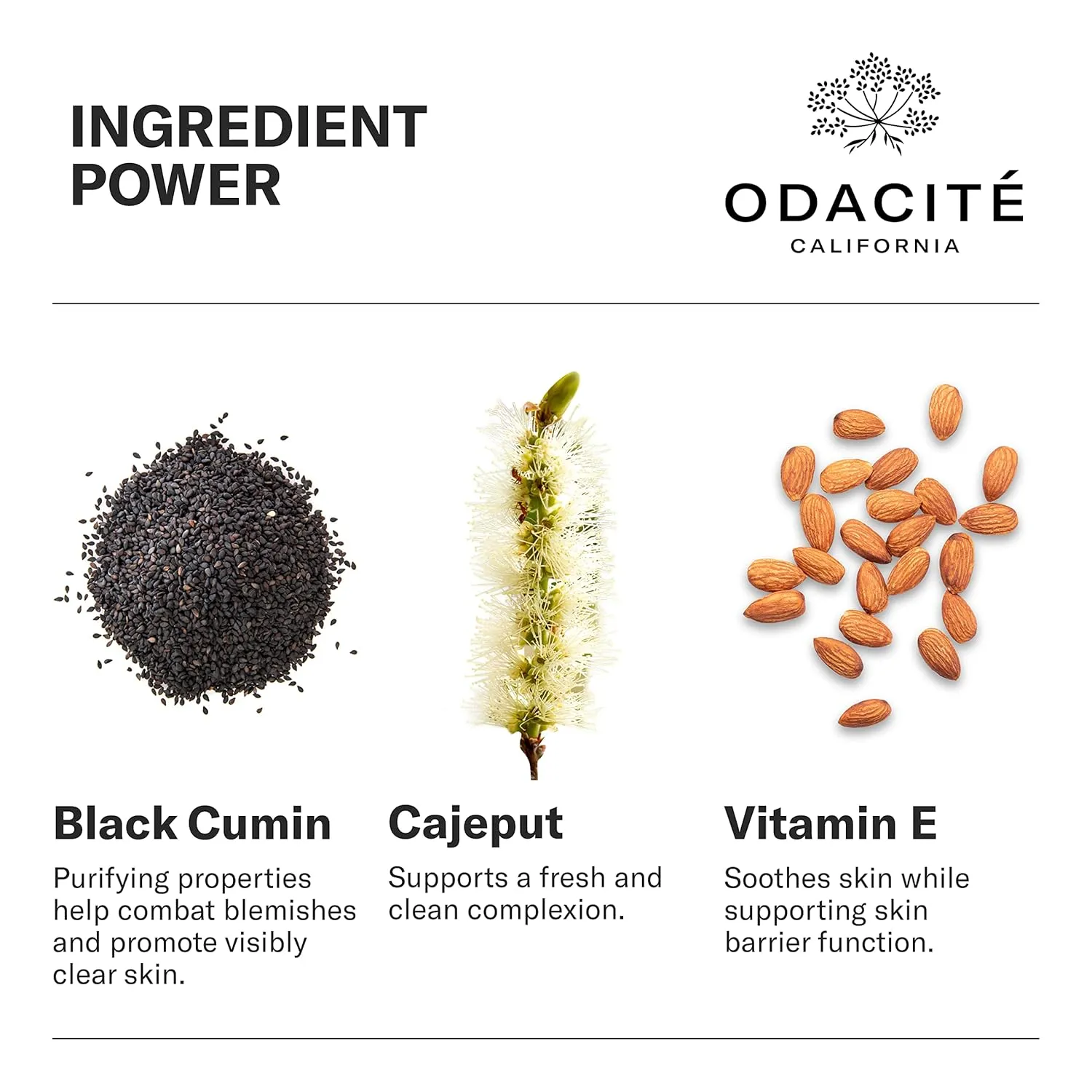 Odacité Acne Serum Concentrate for Face, Pore Cleanser Facial Oil for Pimples with Black Cumin   Cajeput - Purifying Facial Serum with Vitamin A & Natural Ingredients - 0.17 Fl. Oz