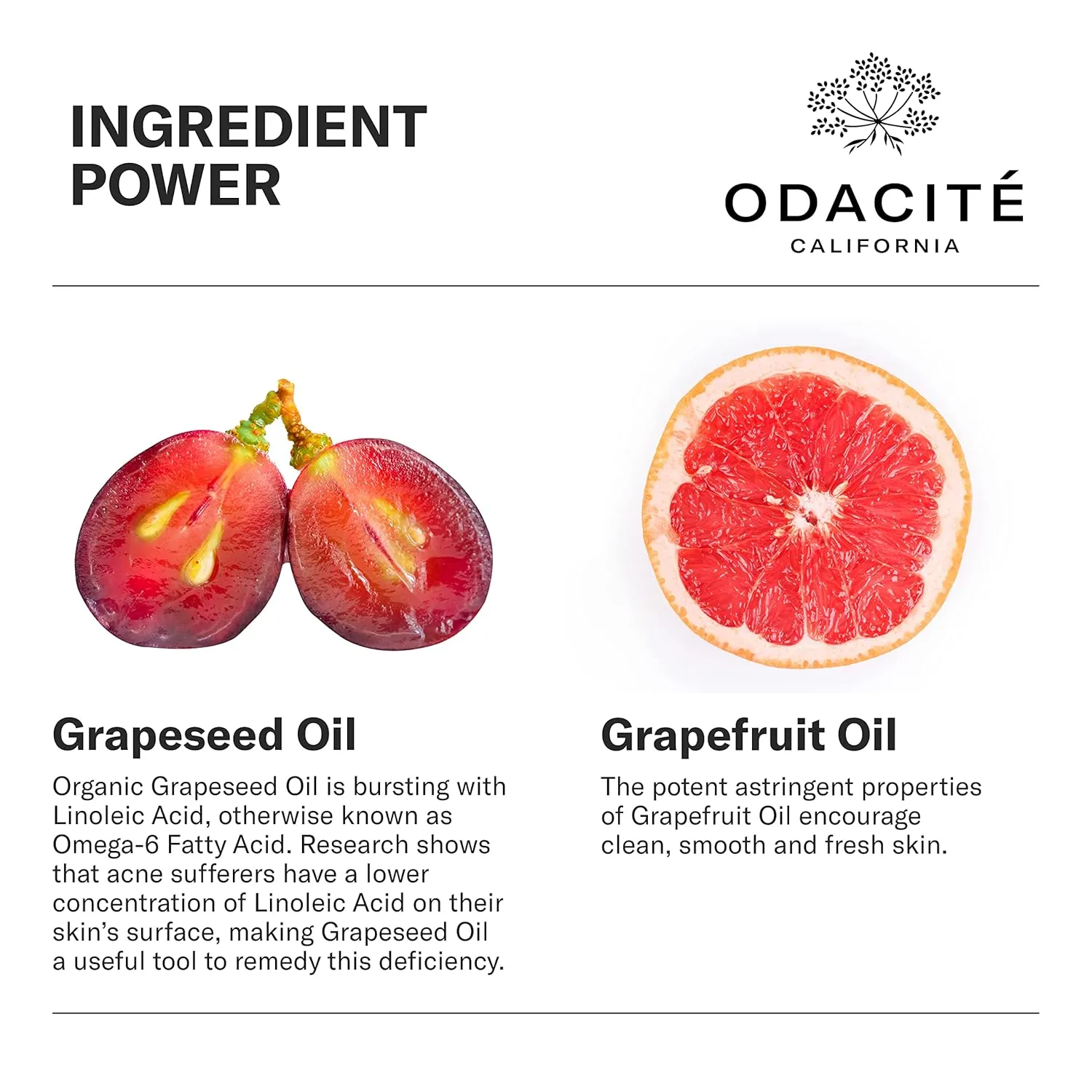 Odacité Acne Serum Concentrate for Face, Pore Cleanser Facial Oil for Skincare with Grapeseed   Grapefruit - Blackhead Remover & Oily Blemish Prone Skin Facial Serum Moisturizer Oil, 0.17 fl. Oz