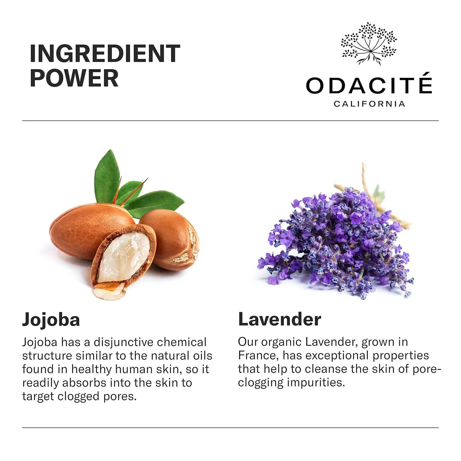 Odacité Acne Serum Concentrate for Face, Pore Cleanser Facial Oil for Skincare with Jojoba   Lavender - Clogged Pores Facial Serum Concentrate, Blackhead Remover Serum, 0.17 fl. Oz