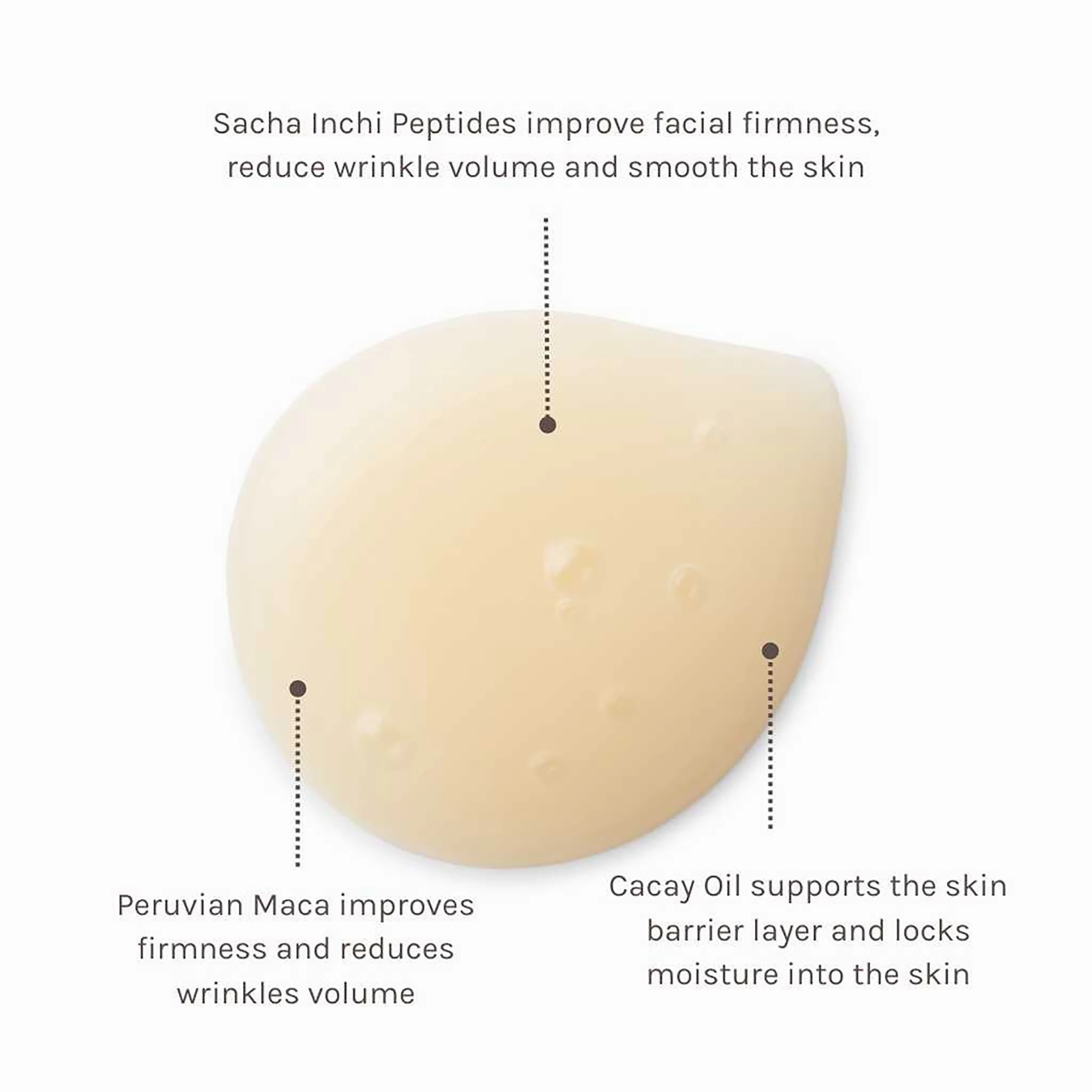 Peptide 360 Serum