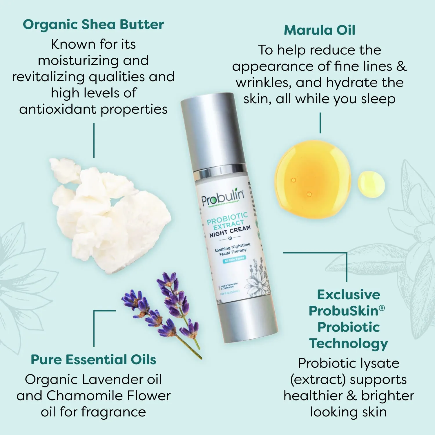 Probulin Probiotic Extract Face Moisturizer Night Cream, Women's Nightime Moisturizing Skin and Facial Care with Marula Oil, 1.69 oz