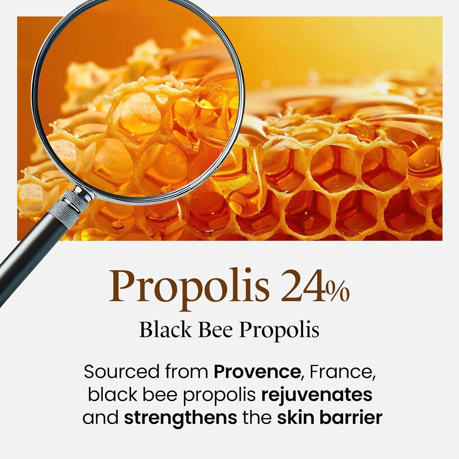 Propolis Barrier Ampoule | Deeply Nourishing Honey Ampoule Korean Skin Care & Face Serum for Women & Men | Skin-Fortifying Facial Serum Ampoule | Ceramide Calming Serum (3.38 fl oz)