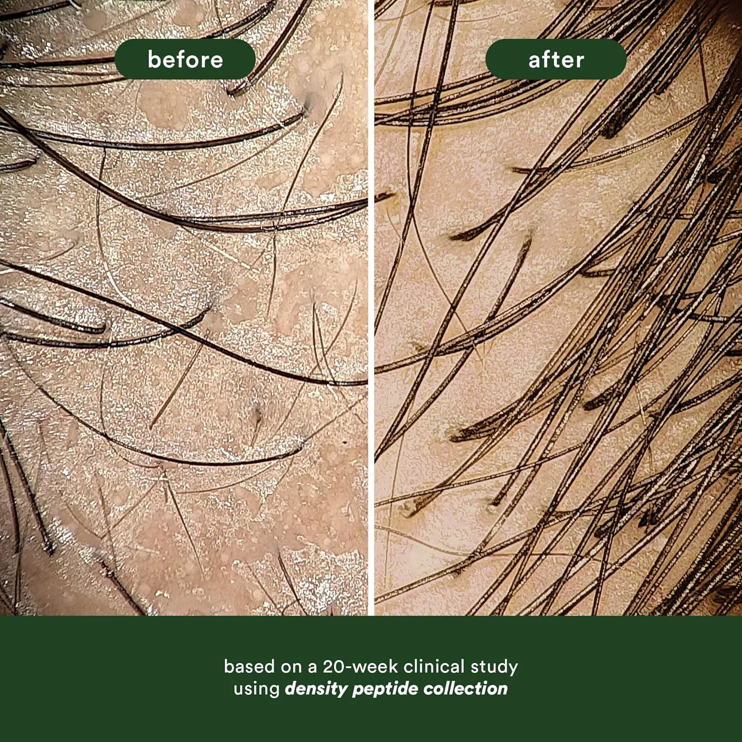 VERB Density Peptide Serum, Visibly Thicken   Reduce Signs of Shedding- No Parabens or Harmful Sulfates
