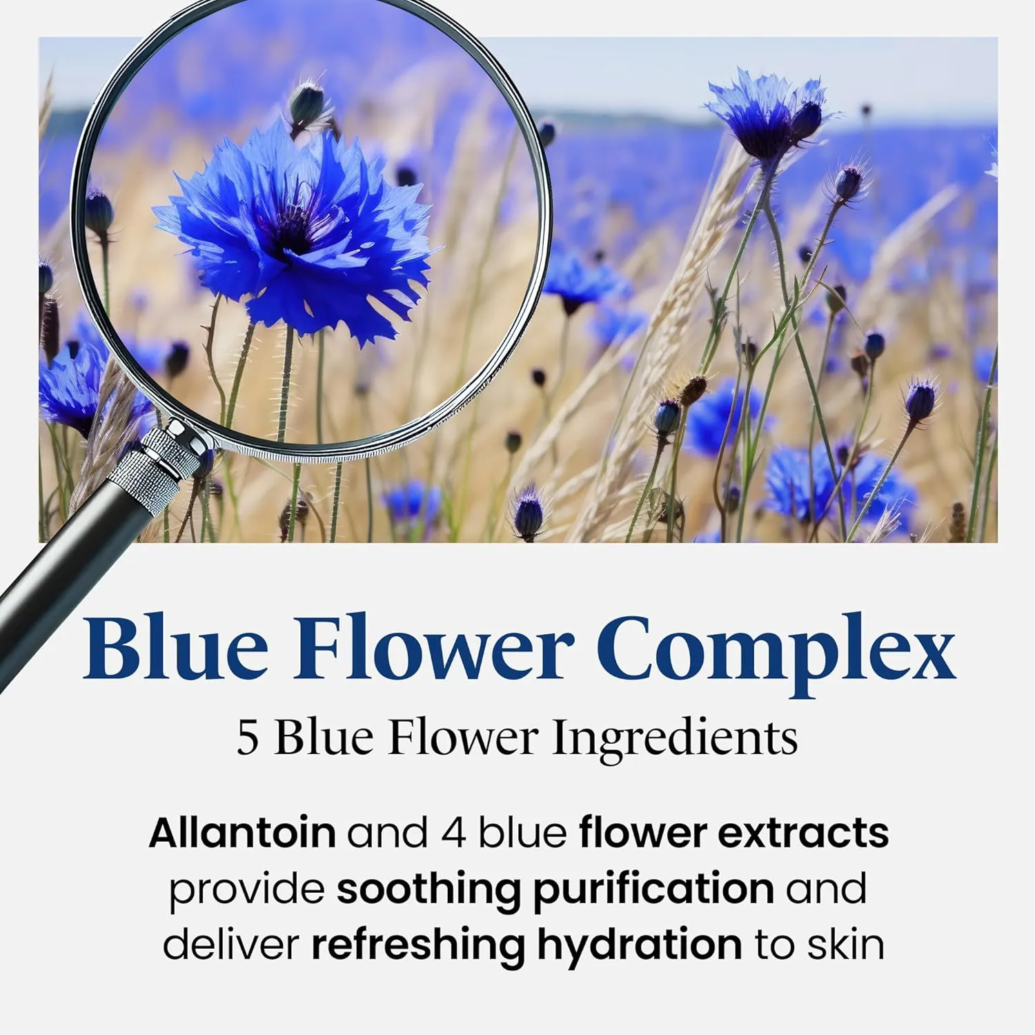 Water Lift Moisture Ampoule for Dry Skin | Deeply Hydrating Serum for Face | Fortifying Facial Serum & Ampoule Korean Skin Care | Highly Moisturizing Face Serum (3.38 fl oz)